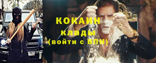 apvp Бородино