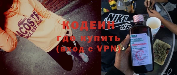apvp Бородино