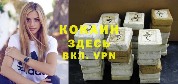apvp Бородино