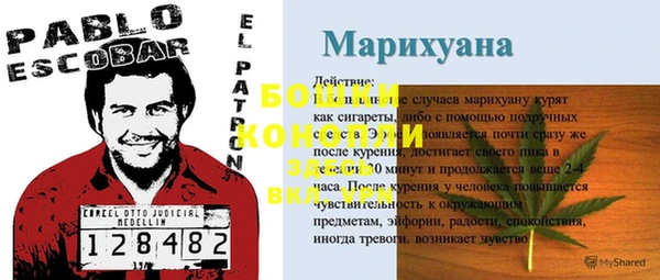 мдпв Бугульма
