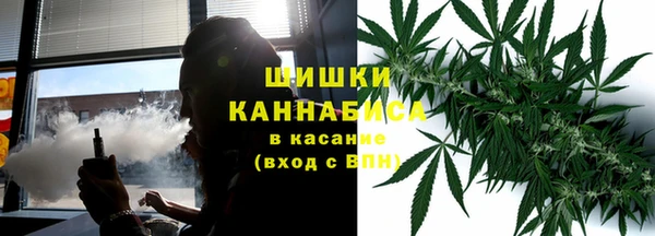 мдпв Бугульма